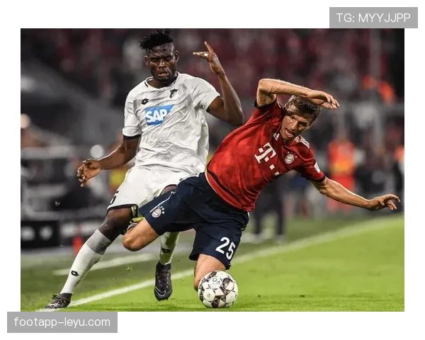 德甲转会窗落幕，多队阵容焕然一新，表现抢眼引关注