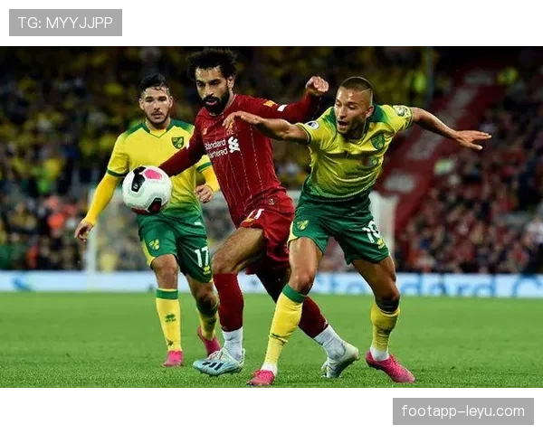 诺维奇近期表现稳健,升级回归希望持续提升