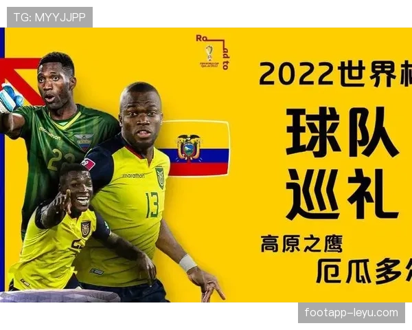 厄瓜多尔队2026世界杯前景分析 高原雄鹰能否再现黑马本色 厄瓜多尔队2026世界杯前景分析 高原雄鹰能否再现黑马本色